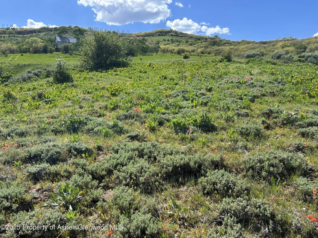 7 of 11 - 1445 Sprout Drive, Craig, CO
