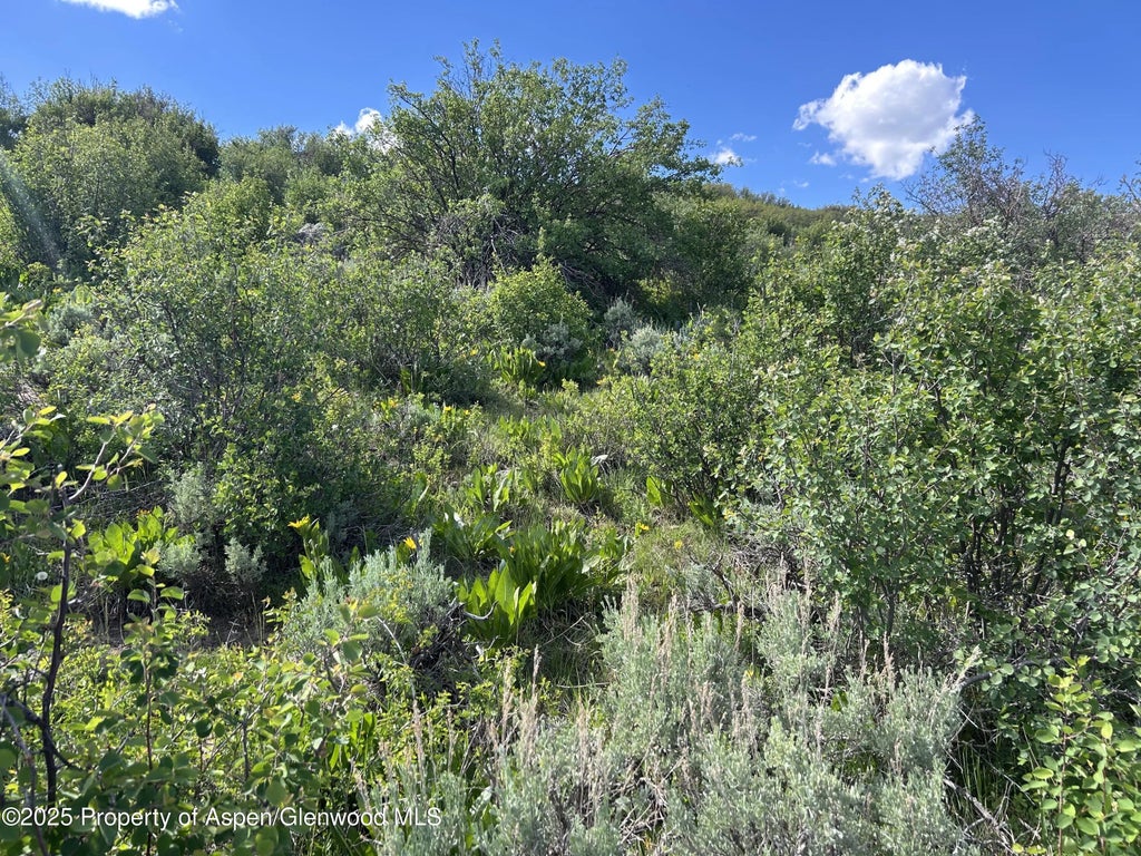 7 of 9 - 889 Granite Road, Craig, CO
