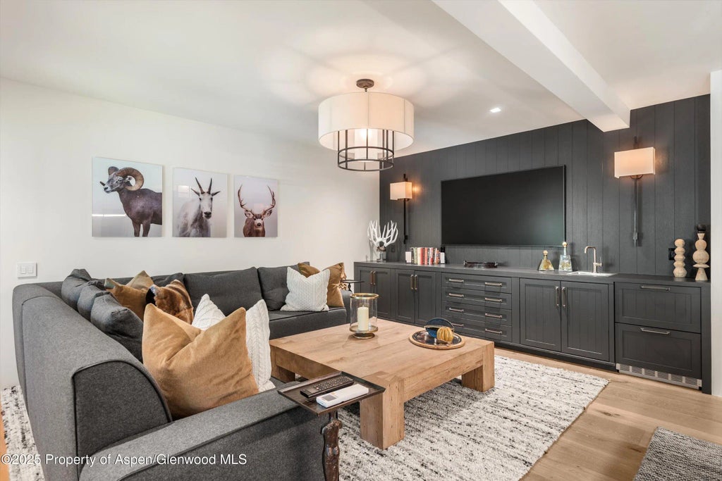 45 of 58 - 1271 Ute Avenue, Aspen, CO