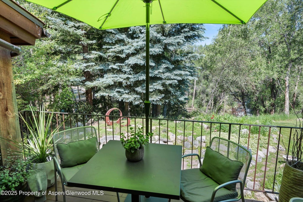17 of 25 - 117 Neale Avenue, Aspen, CO