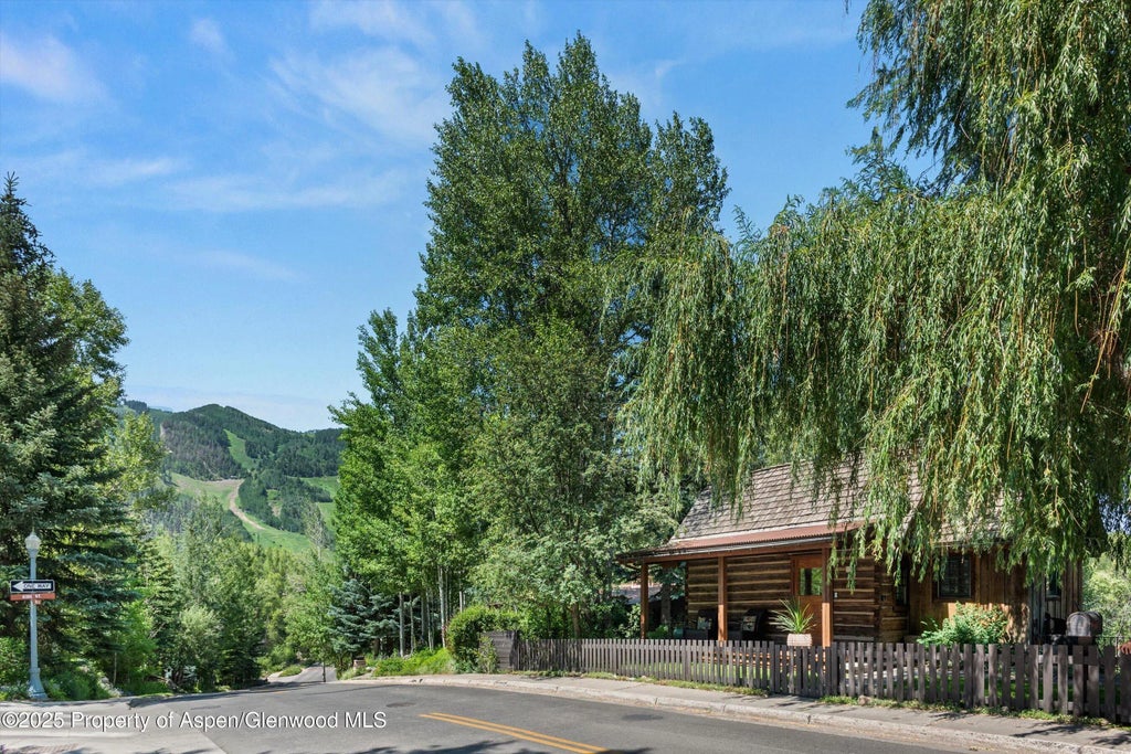 2 of 25 - 117 Neale Avenue, Aspen, CO