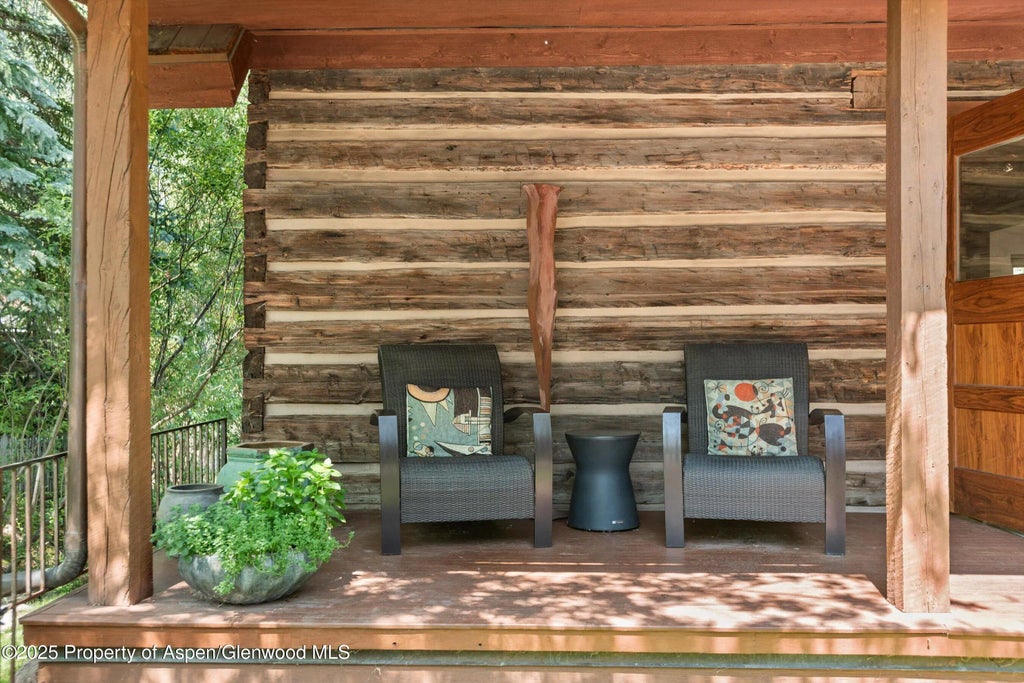 5 of 25 - 117 Neale Avenue, Aspen, CO