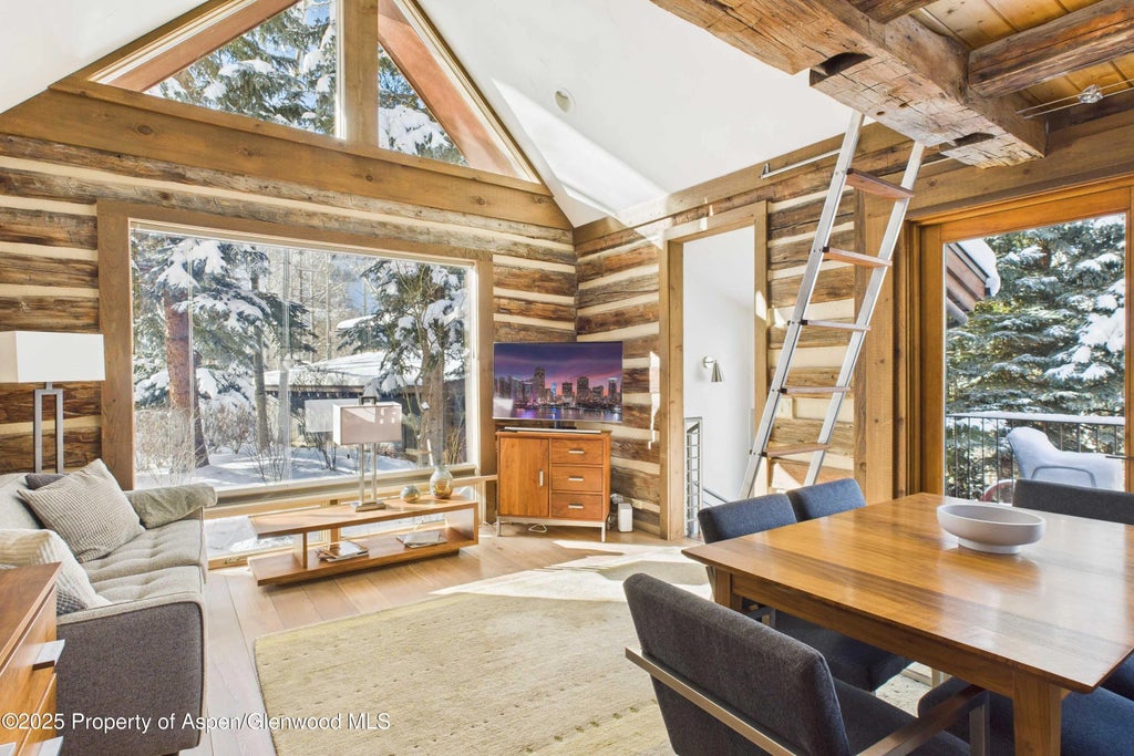 6 of 19 - 117 Neale Avenue, Aspen, CO