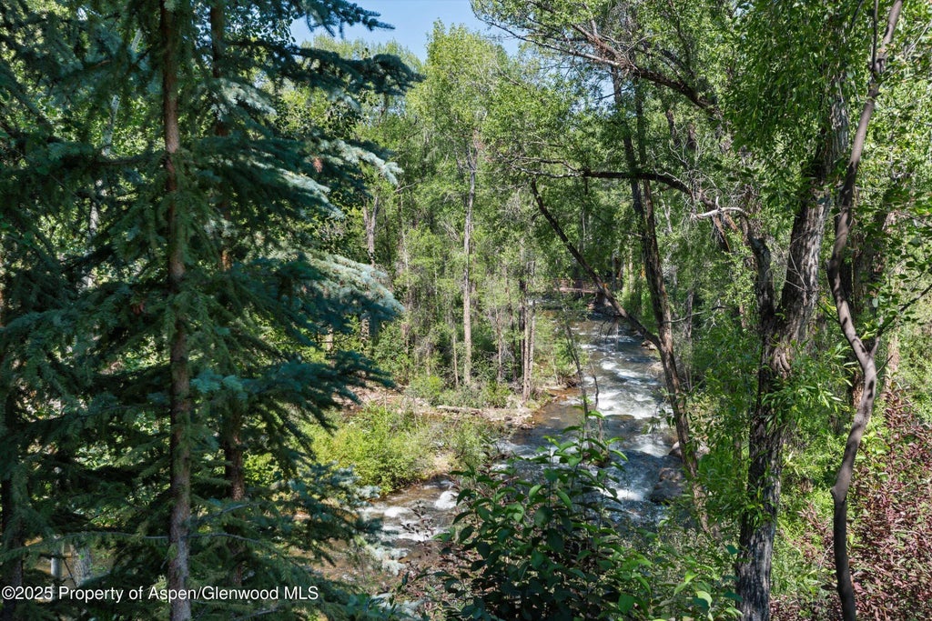 9 of 25 - 117 Neale Avenue, Aspen, CO