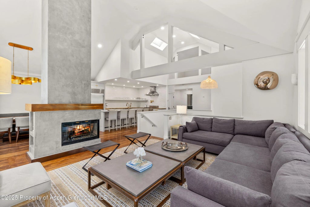 4 of 25 - 777 Castle Creek Drive, Aspen, CO