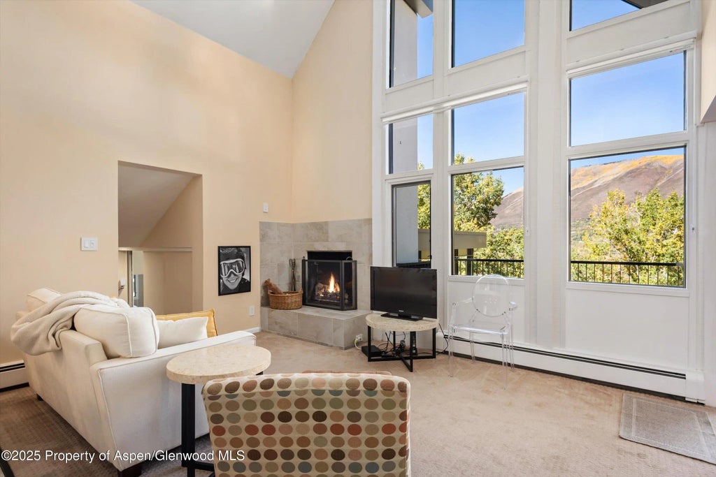 4 of 13 - 800 S Mill Street 301c, Aspen, CO
