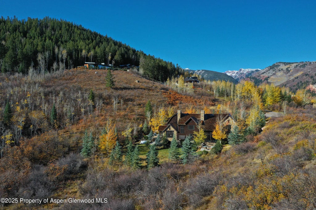 4 of 37 - 864 Moore Drive, Aspen, CO