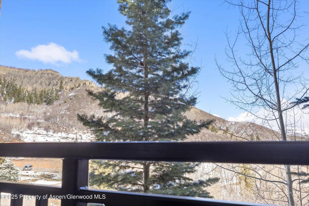 24 of 24 - 130 Wood Road 314/316, Snowmass Village, CO