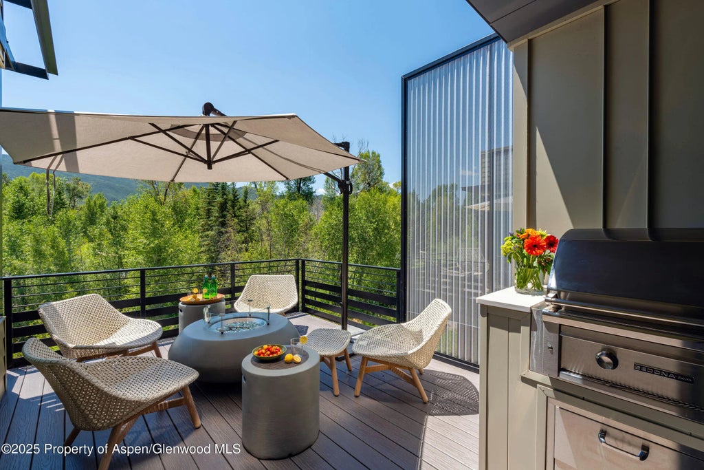 8 of 26 - 22856 Two Rivers Road, Basalt, CO