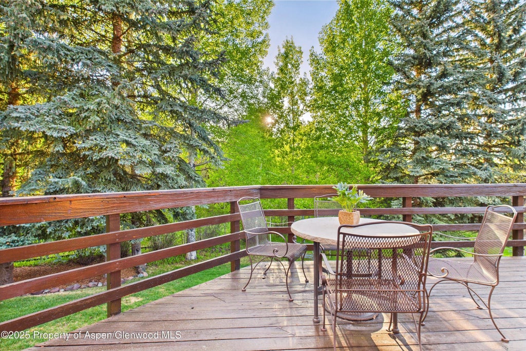 14 of 37 - 593 Meadowood Drive, Aspen, CO