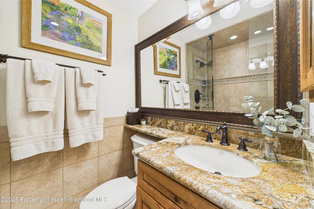 19 of 37 - 593 Meadowood Drive, Aspen, CO