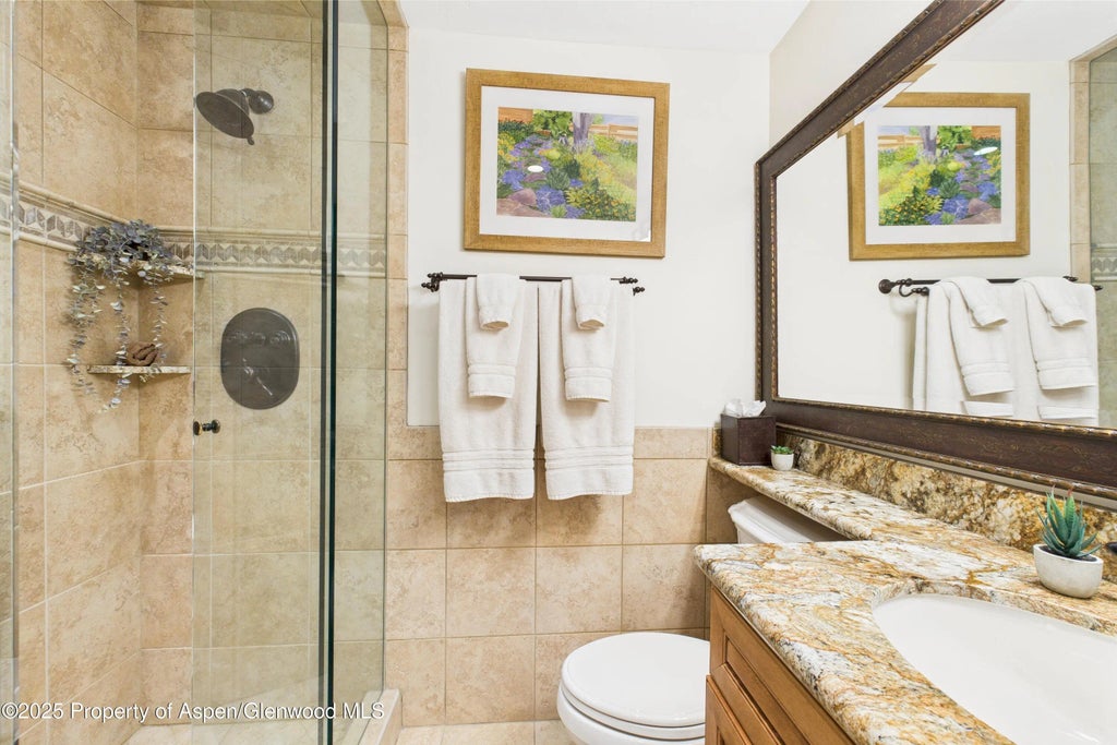 20 of 37 - 593 Meadowood Drive, Aspen, CO