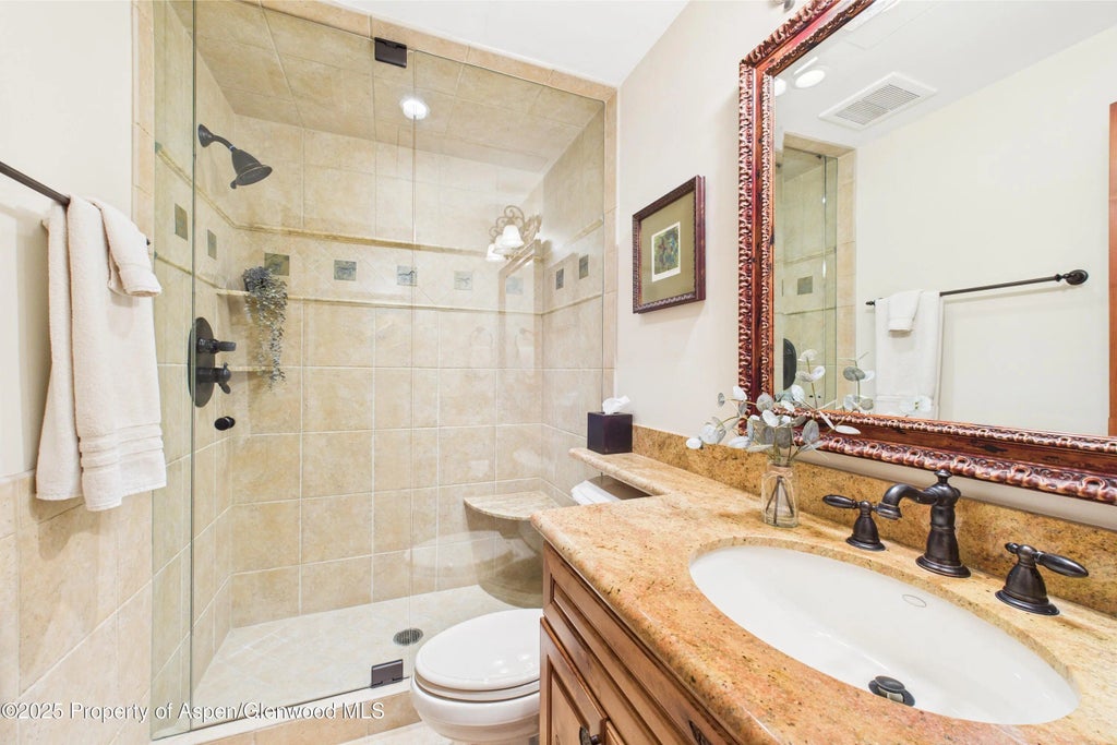 22 of 37 - 593 Meadowood Drive, Aspen, CO