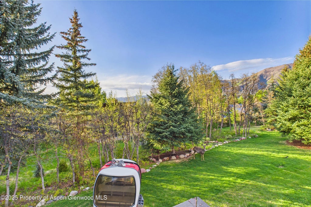 24 of 49 - 593 Meadowood Drive, Aspen, CO