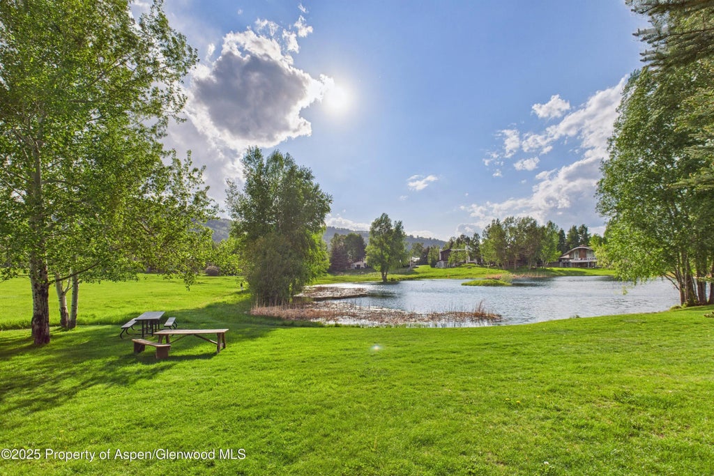 40 of 49 - 593 Meadowood Drive, Aspen, CO