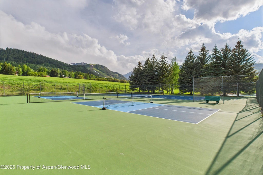 42 of 49 - 593 Meadowood Drive, Aspen, CO