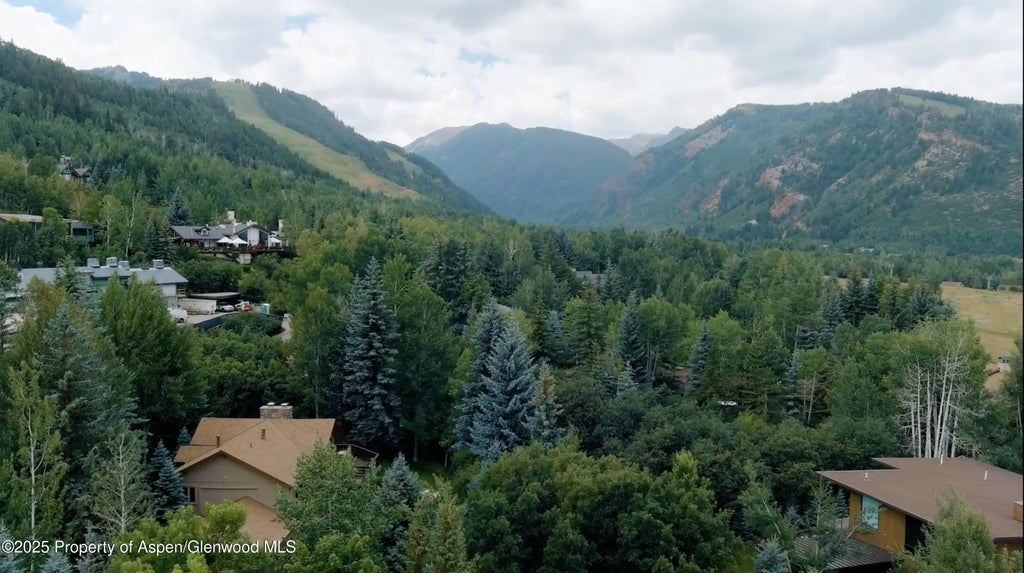 44 of 49 - 593 Meadowood Drive, Aspen, CO