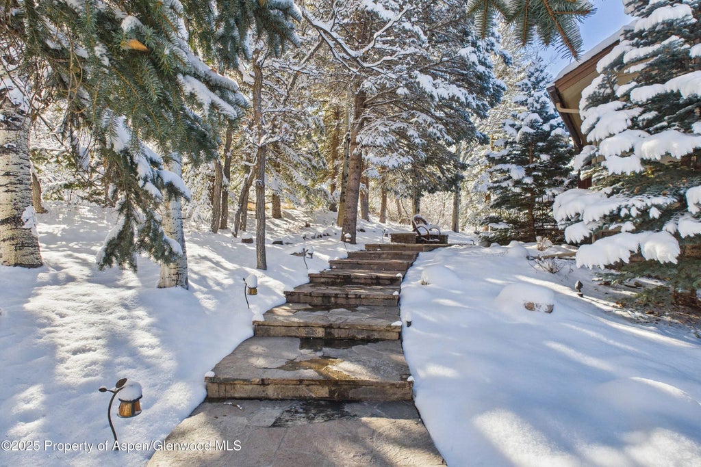 46 of 49 - 593 Meadowood Drive, Aspen, CO