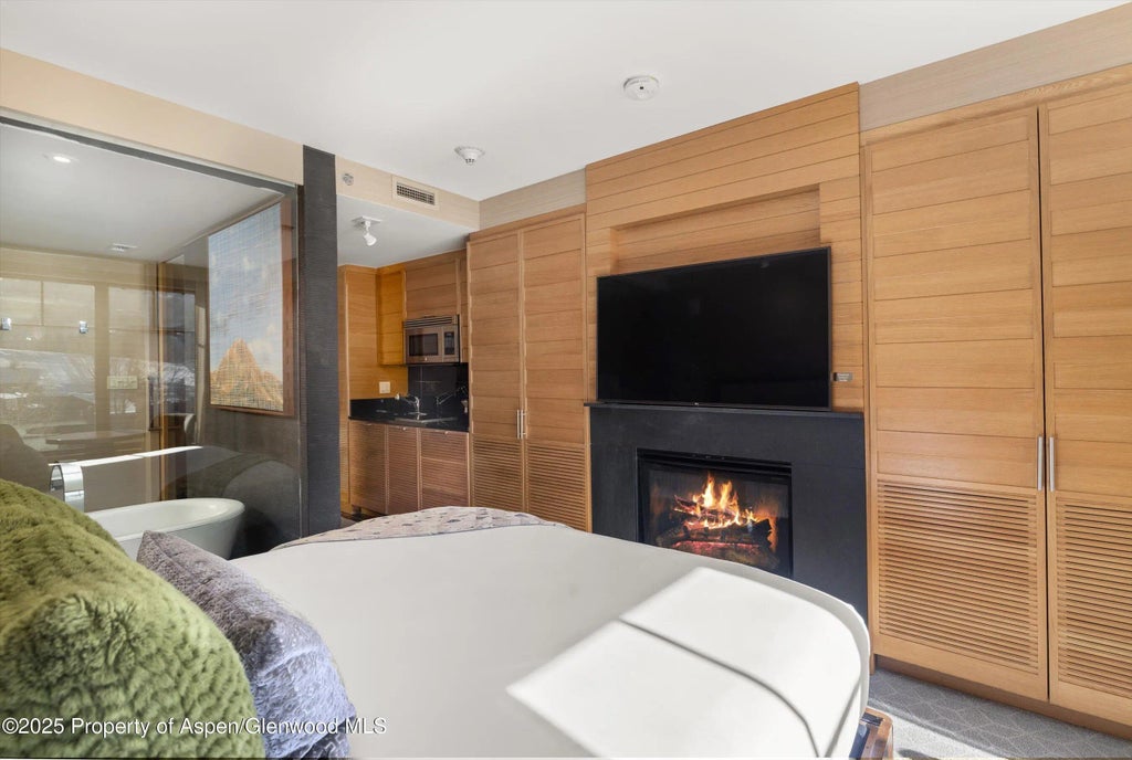 3 of 13 - 130 Wood Road 536, Snowmass Village, CO