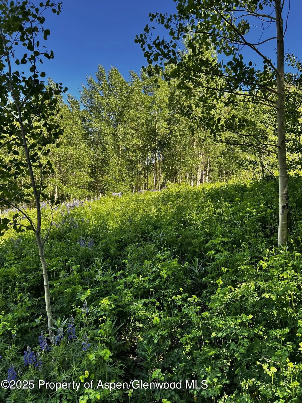 2 of 11 - 2601 Midnight Mine Road Road, Aspen, CO