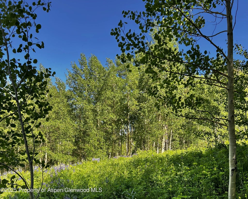 5 of 11 - 2601 Midnight Mine Road Road, Aspen, CO