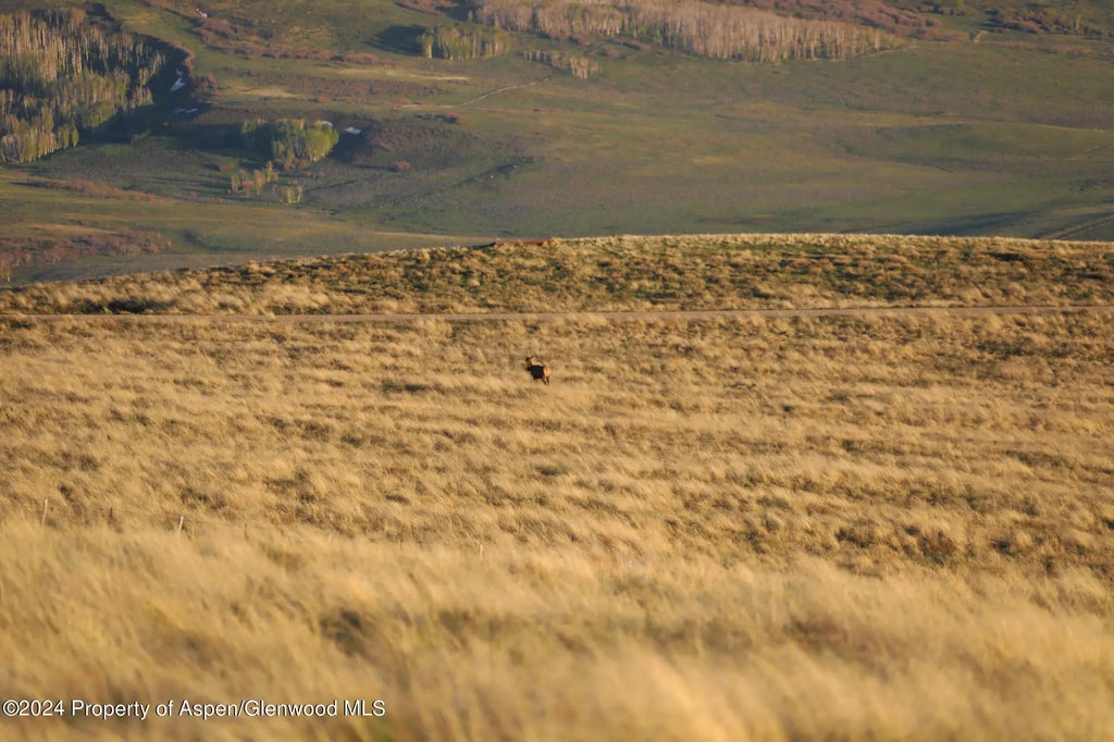 4 of 17 - Tbd Hull Ridge Road, Montrose, CO
