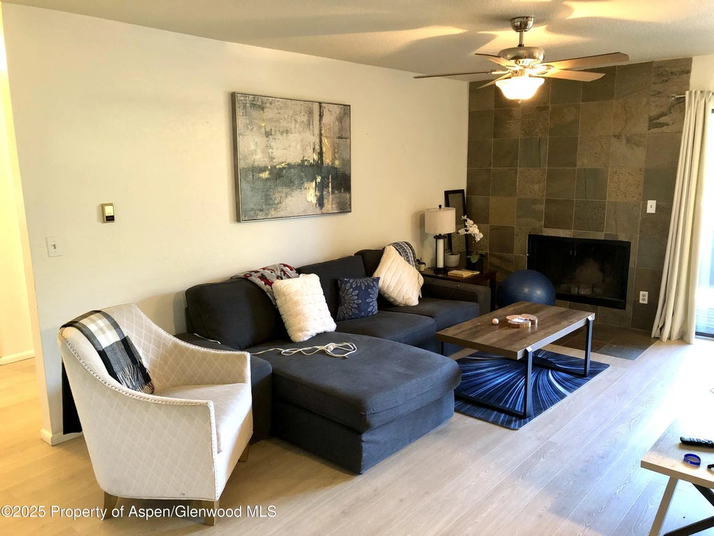 1527 Blake Avenue 201, Glenwood Springs