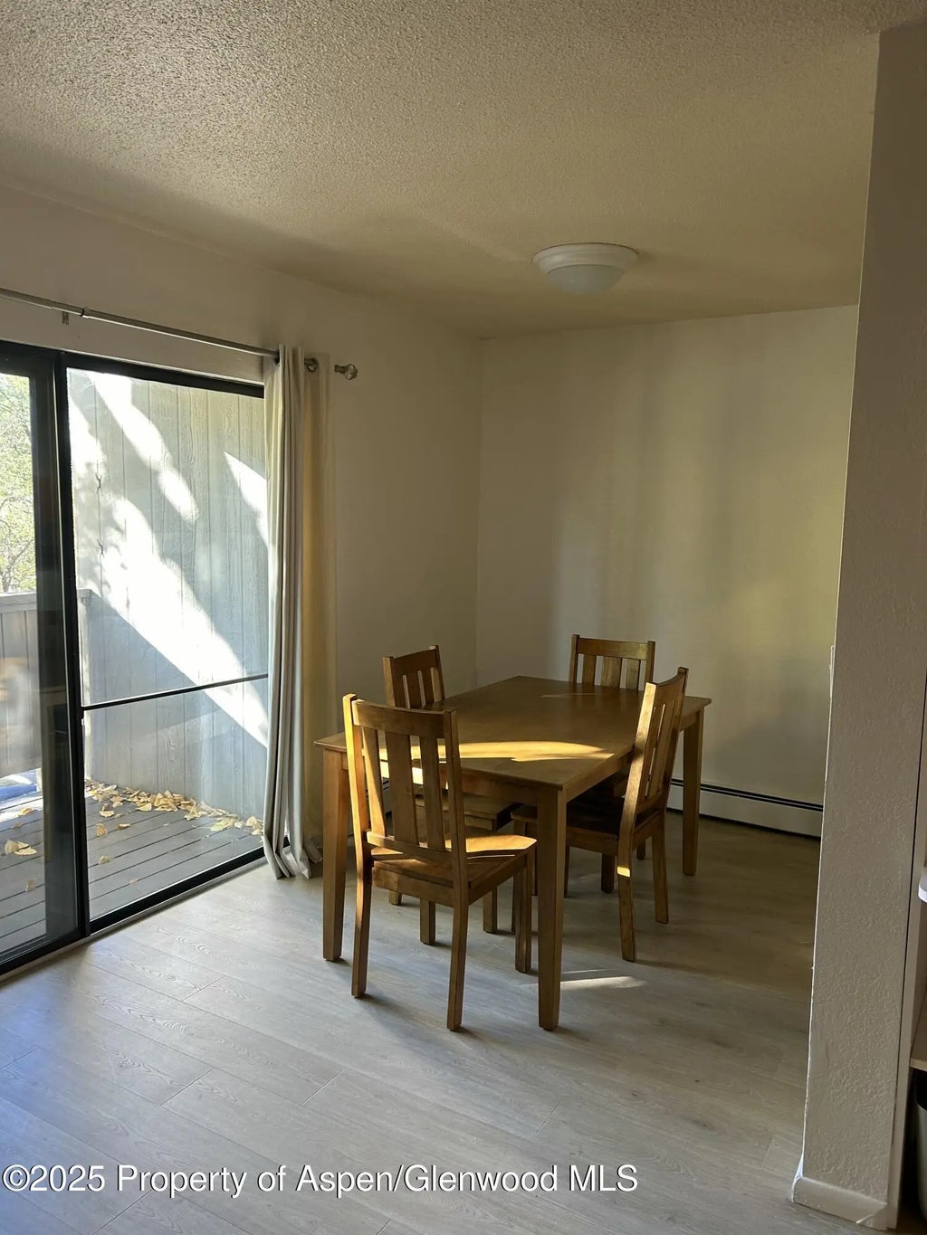 5 of 16 - 1527 Blake Avenue 201, Glenwood Springs, CO