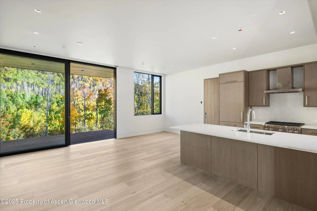 34 of 34 - 401 Carroll Drive, Aspen, CO