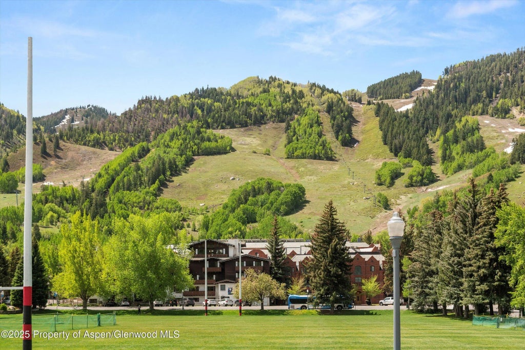 6 of 11 - 301 E Hyman Avenue 207, Weeks 35,36,48, Aspen, CO