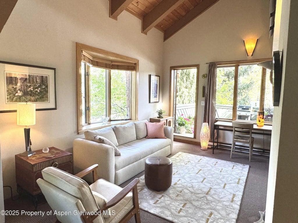 1 of 19 - 125 E Hyman Avenue 1a, Aspen, CO