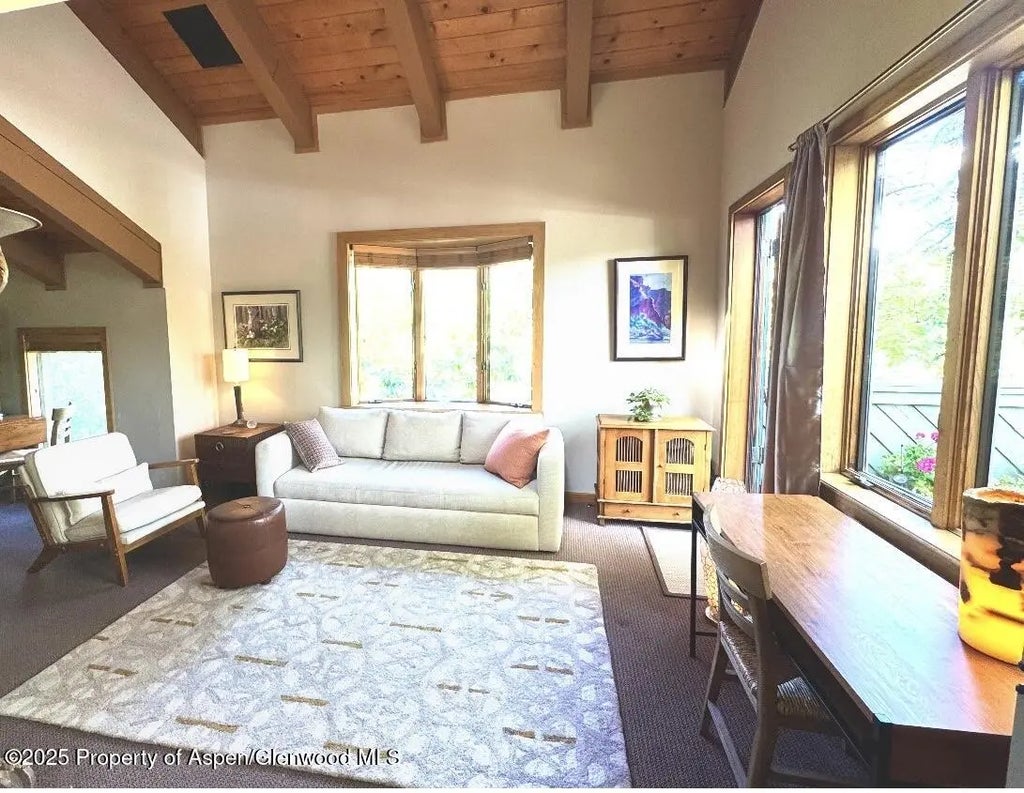 2 of 19 - 125 E Hyman Avenue 1a, Aspen, CO