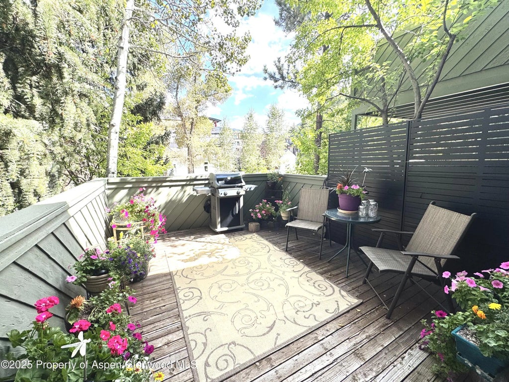 3 of 19 - 125 E Hyman Avenue 1a, Aspen, CO