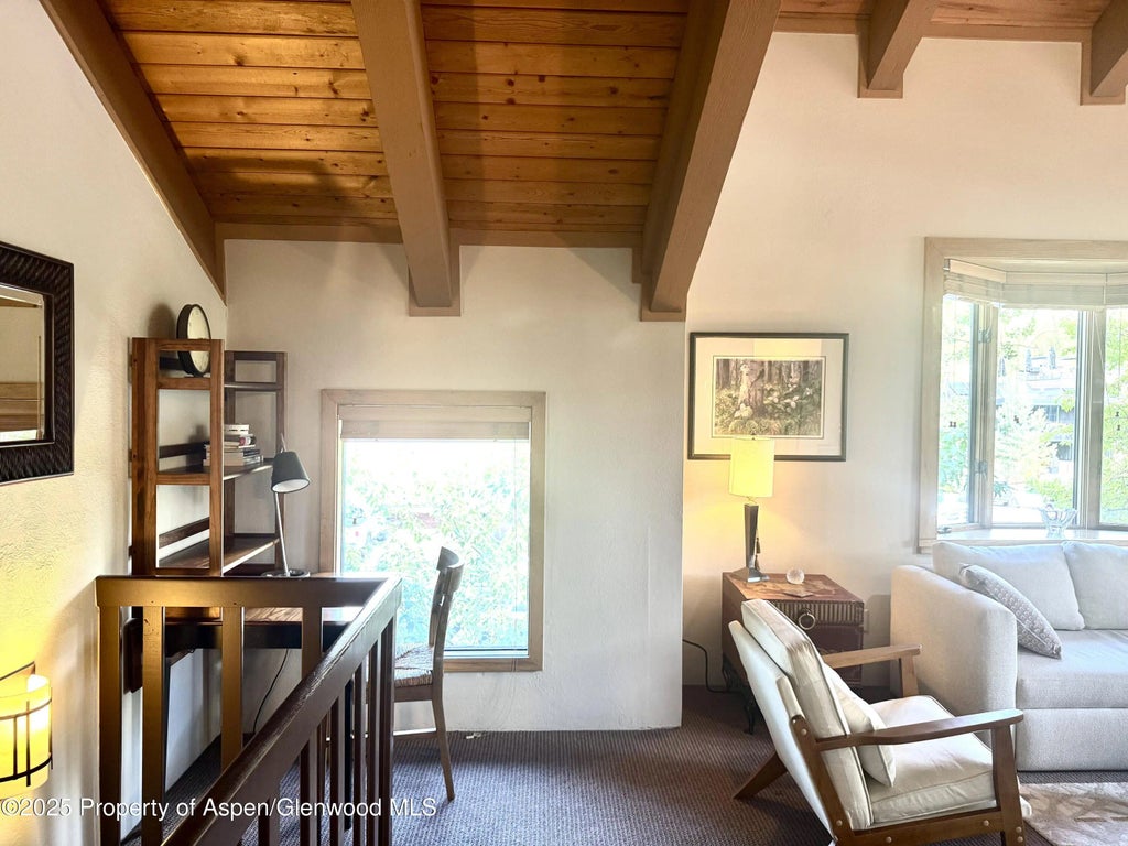 4 of 19 - 125 E Hyman Avenue 1a, Aspen, CO