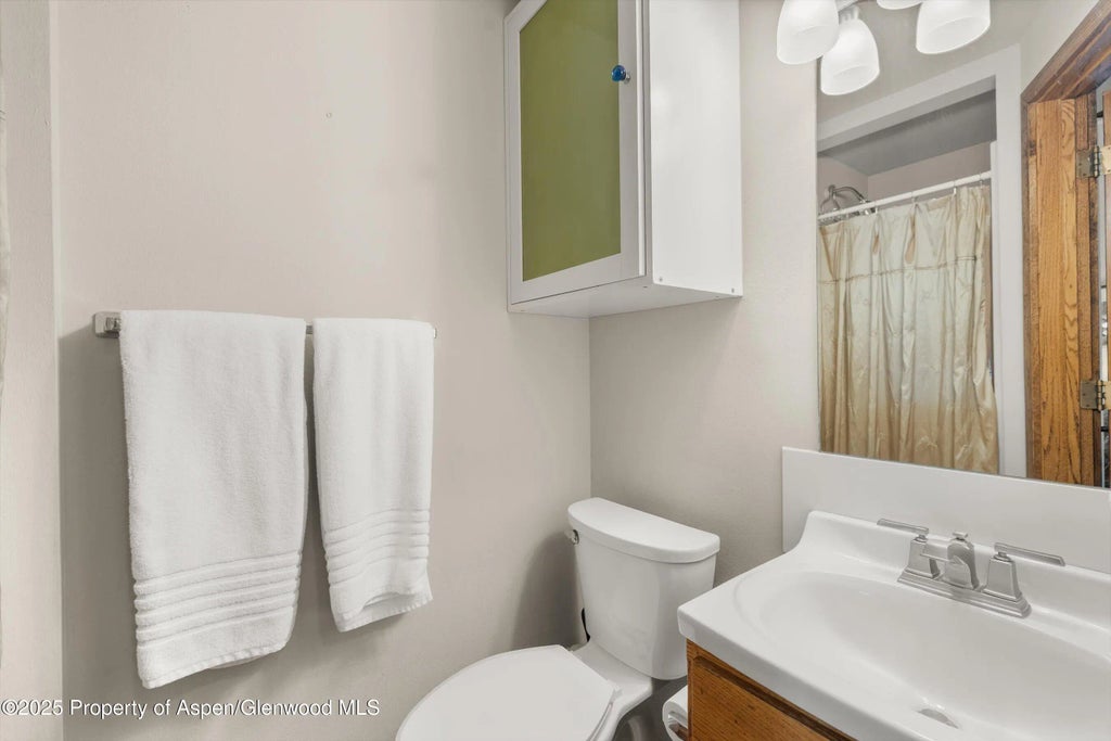 9 of 19 - 125 E Hyman Avenue 1a, Aspen, CO