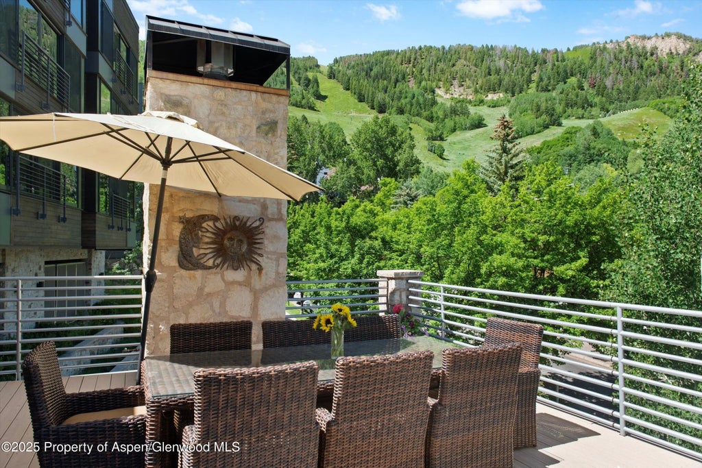 17 of 44 - 714 S Galena Street B, Aspen, CO