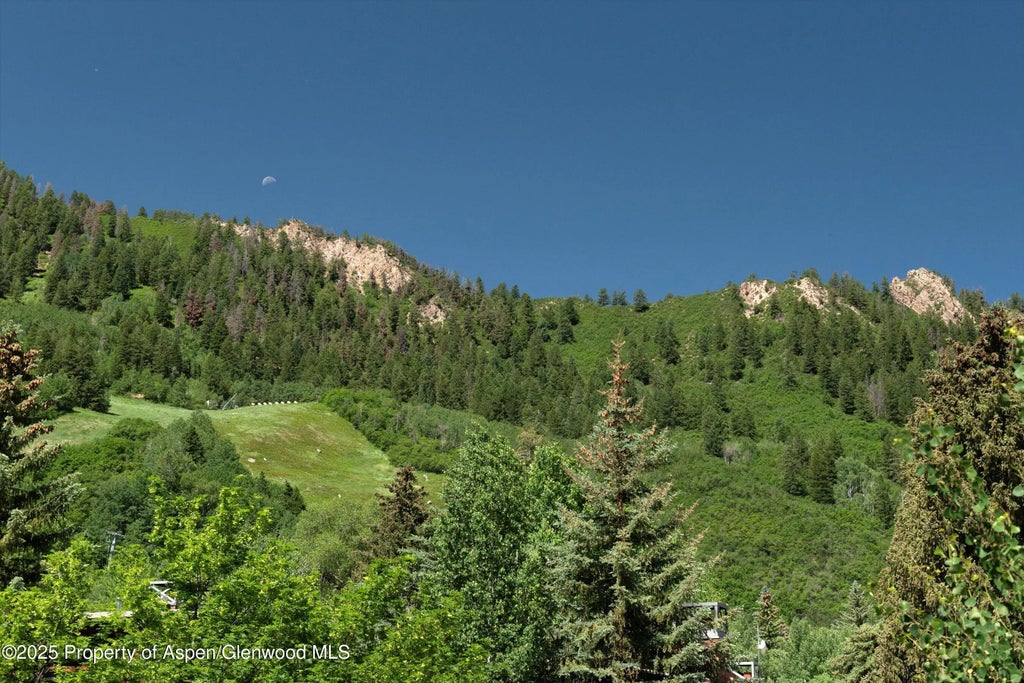 24 of 44 - 714 S Galena Street B, Aspen, CO