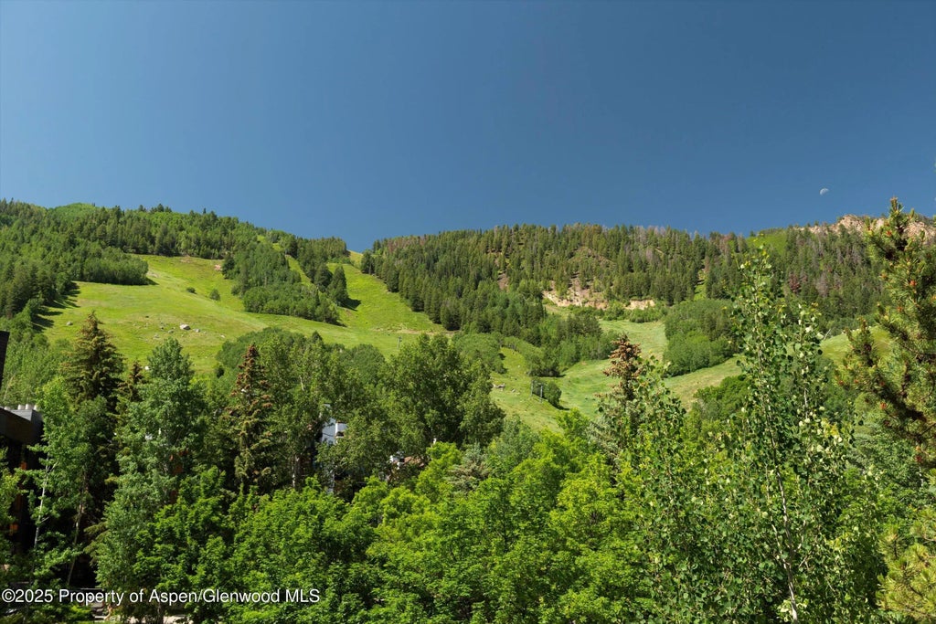 25 of 44 - 714 S Galena Street B, Aspen, CO