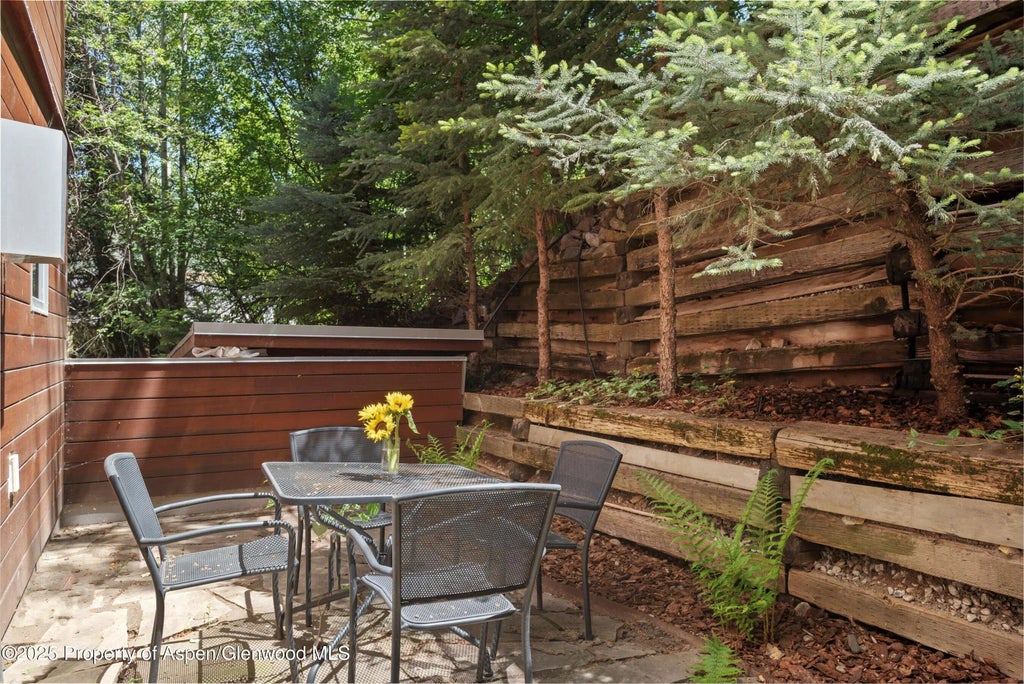 30 of 44 - 714 S Galena Street B, Aspen, CO