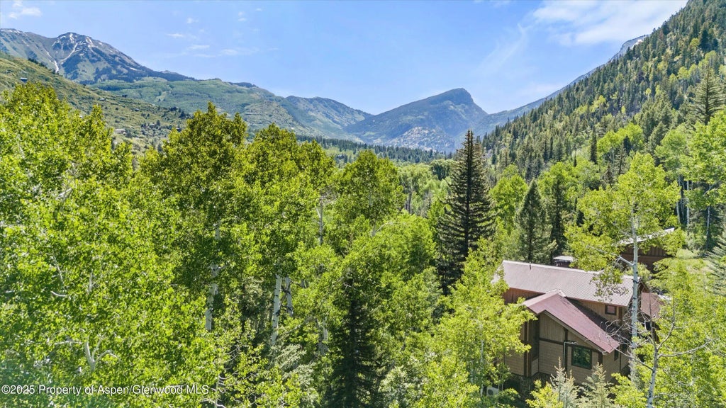 4 of 64 - 117 Deer Lane, Marble, CO