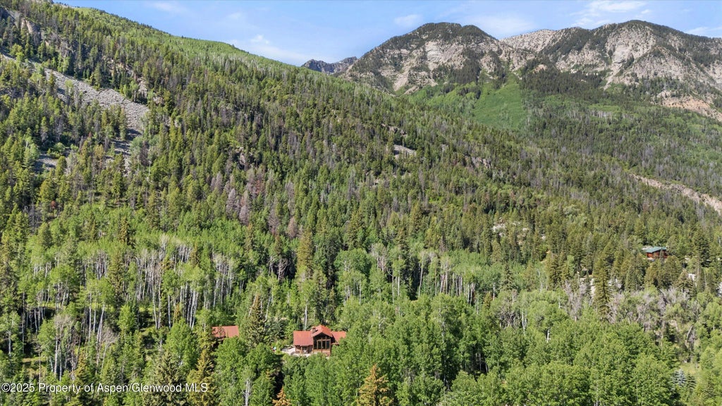 55 of 64 - 117 Deer Lane, Marble, CO