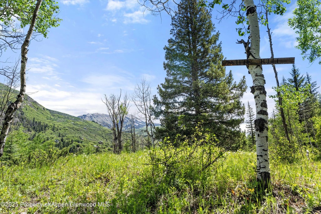 62 of 64 - 117 Deer Lane, Marble, CO