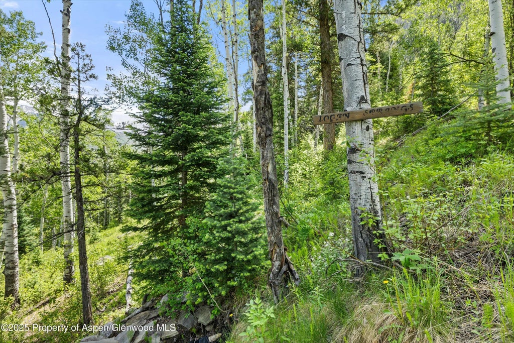 7 of 64 - 117 Deer Lane, Marble, CO