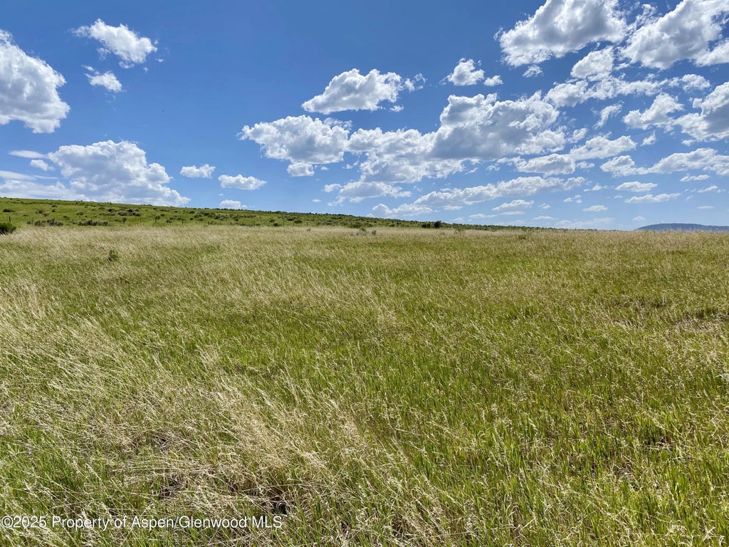 51 of 52 - Tbd County Road 15, Meeker, CO