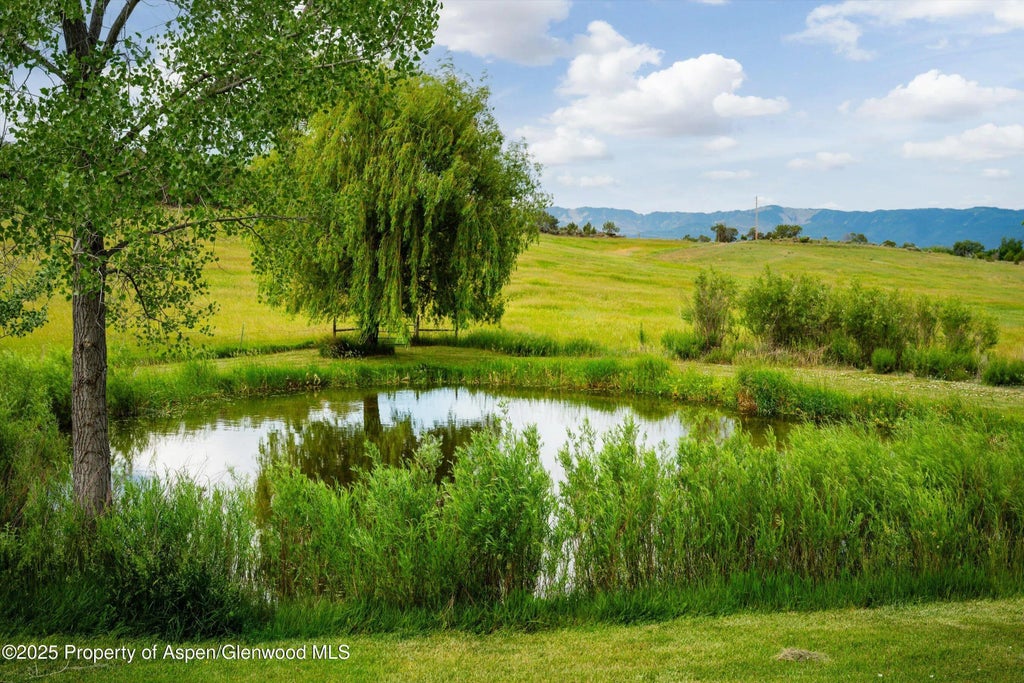 31 of 46 - 1563 County Road 326, Silt, CO