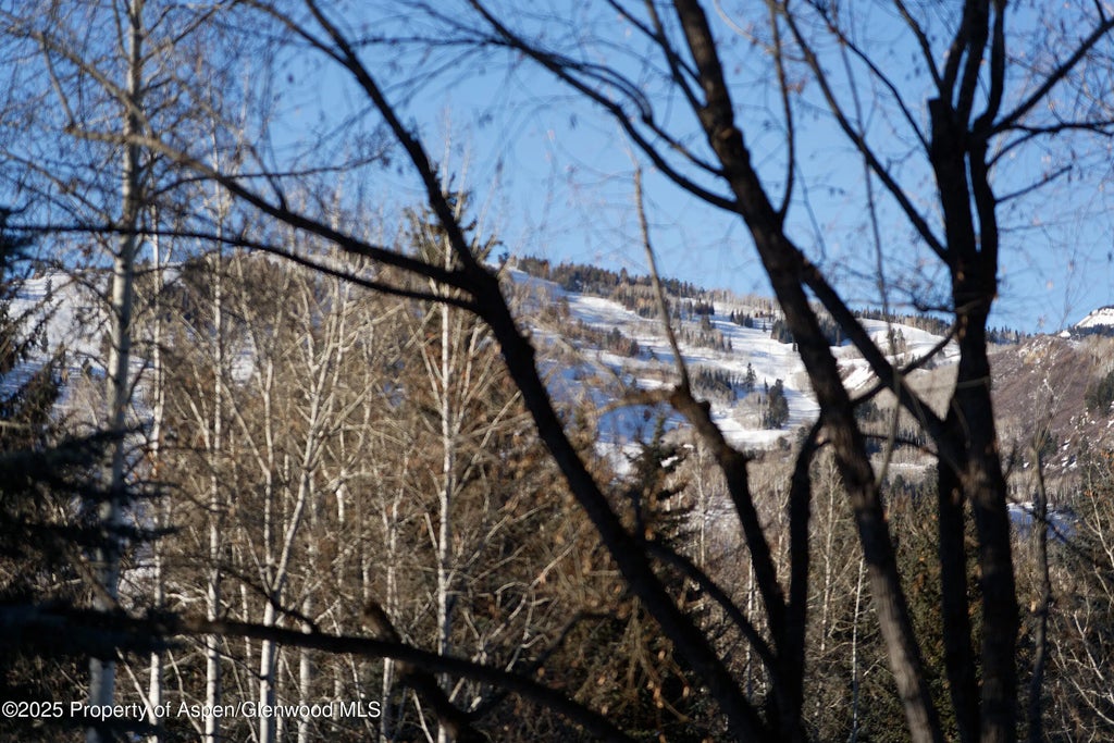 27 of 30 - 1395 Sierra Vista Drive Unit 1, Aspen, CO