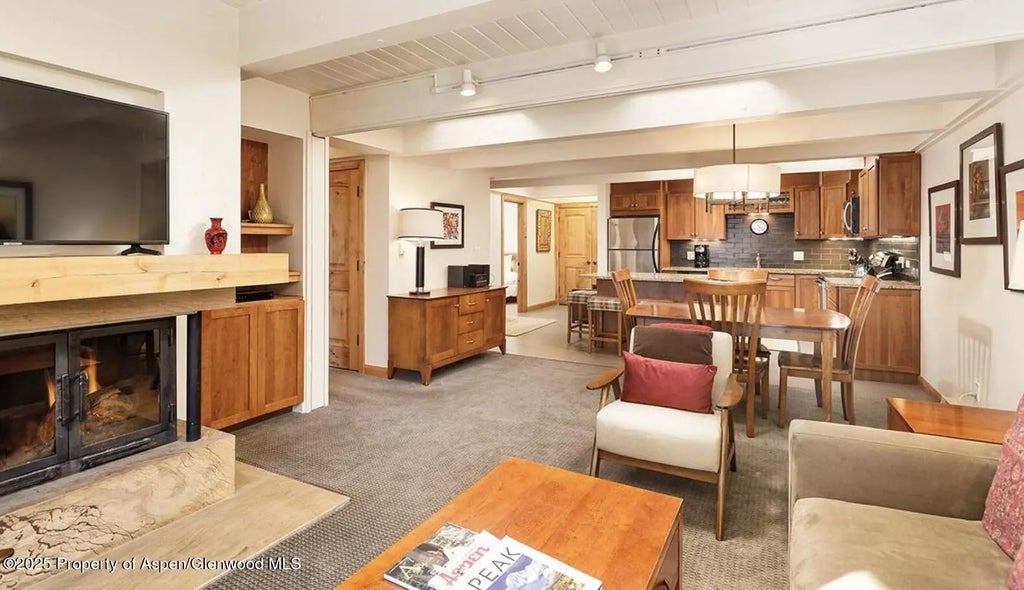 1 of 12 - 901 E Hyman Avenue 13, Aspen, CO