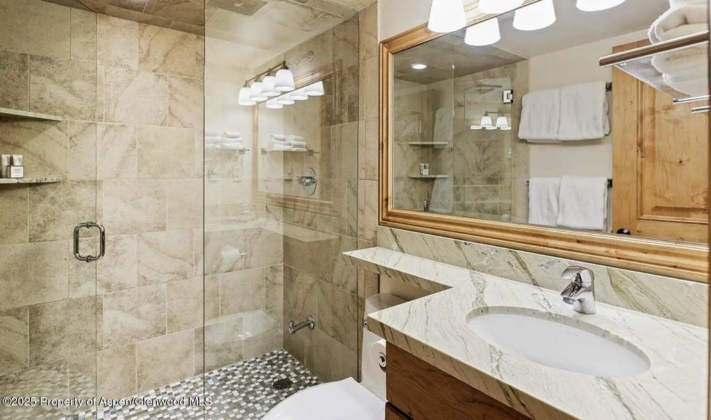 10 of 12 - 901 E Hyman Avenue 13, Aspen, CO