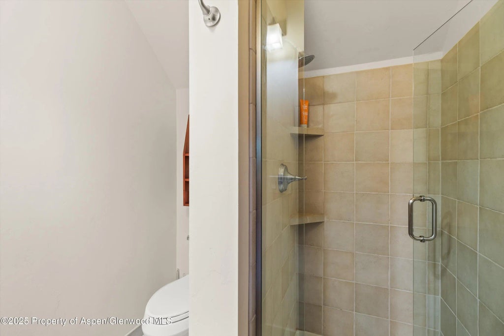 32 of 53 - 135 Irwin Drive, Redstone, CO