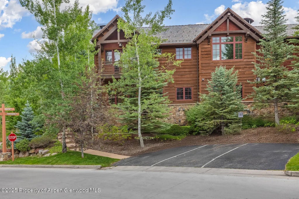 58 of 59 - 51 Thunderbowl Lane #12, Aspen, CO